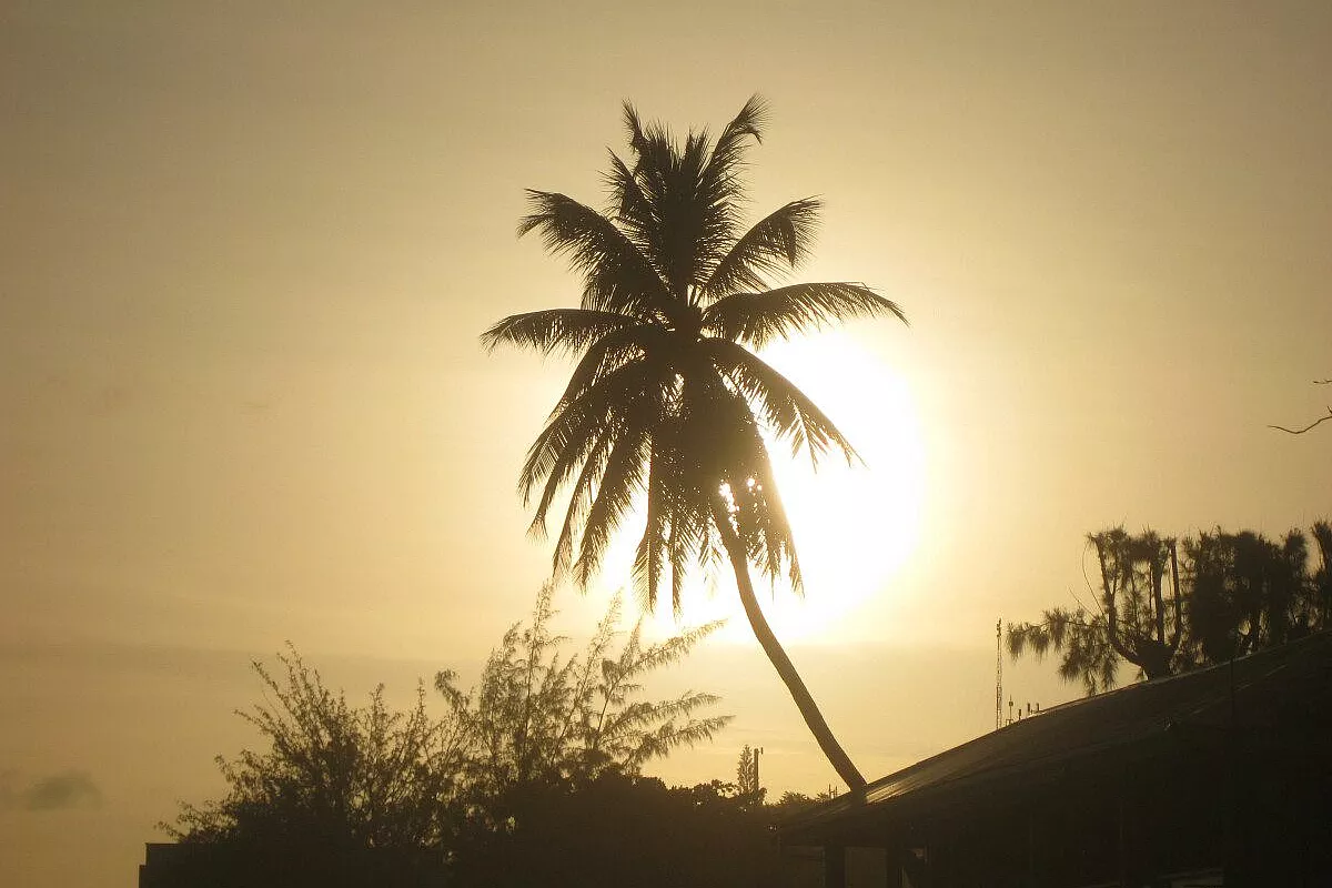 Perché Barbados?