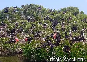 turistipercaso barbuda-8h5uu