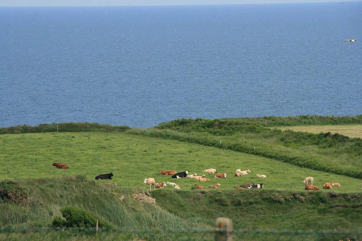 Paesaggio tipico irlandese
