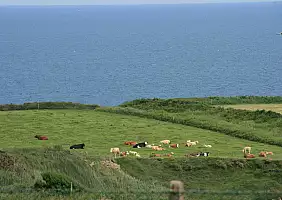 turistipercaso belfast-9k6ac