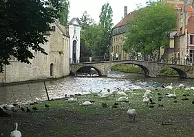 turistipercaso belgio-mnn1h