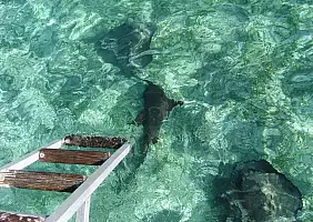 turistipercaso belize-faubt