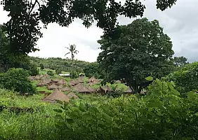 turistipercaso benin-82cds