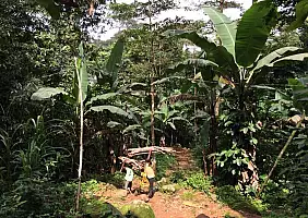 turistipercaso benin-zxpm6