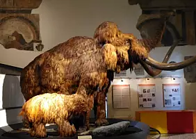 turistipercaso bergamo-37vkn