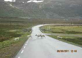 turistipercaso bergen-norvegia-b1yqp