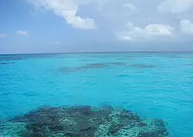 turistipercaso bermuda-4ctc9