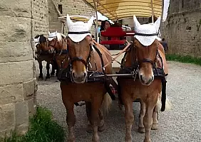 turistipercaso beziers-bc7c3