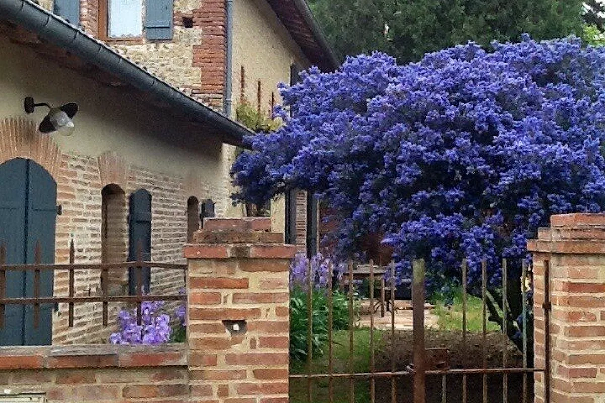 L'albero blu