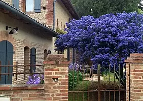 turistipercaso beziers-e6w9w