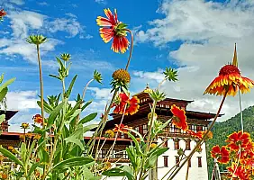 turistipercaso bhutan-5rsag