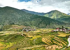 turistipercaso bhutan-84b7r