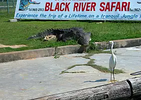 turistipercaso black-river-2a4v4