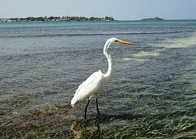 turistipercaso black-river-tabbz