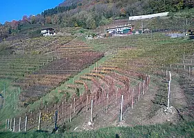 turistipercaso bloggerpercaso-vrg3h