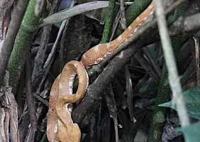 turistipercaso bocas-del-toro-3c3aa