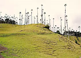 turistipercaso bogota-47ku1