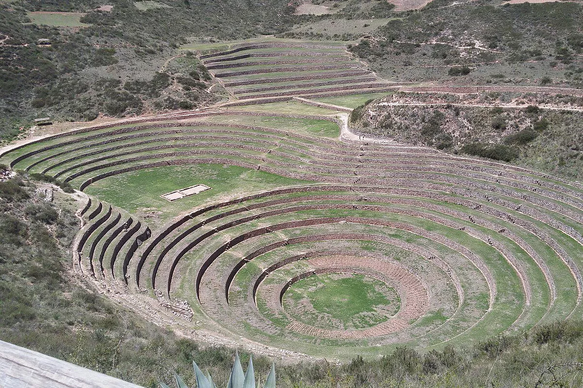Moray