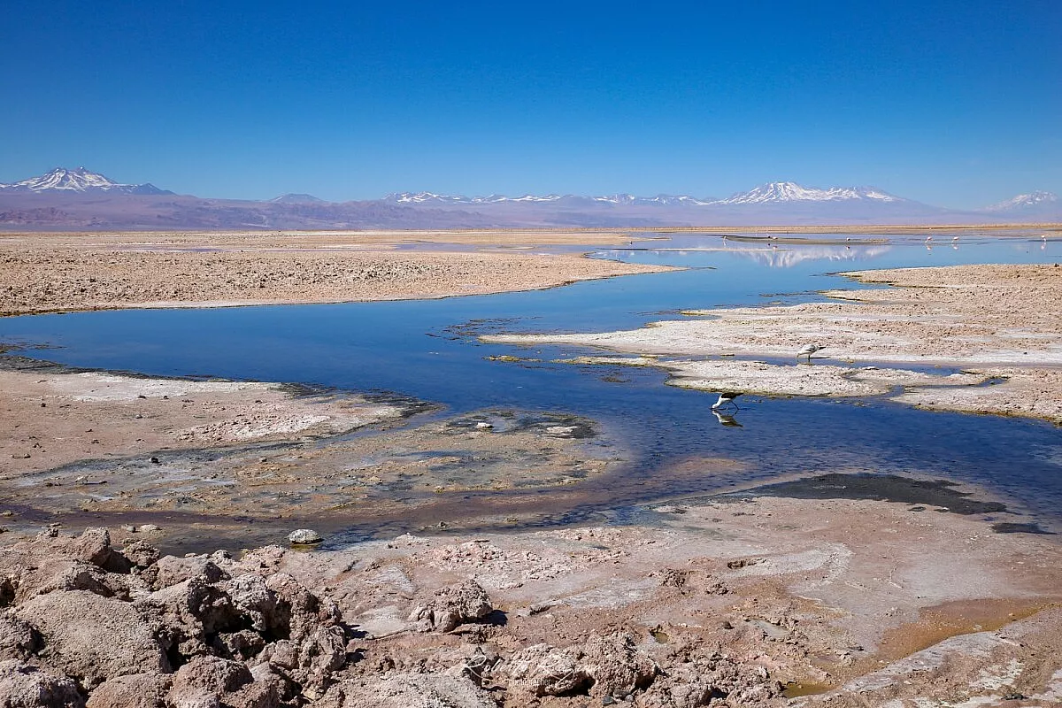Laguna Miscanti
