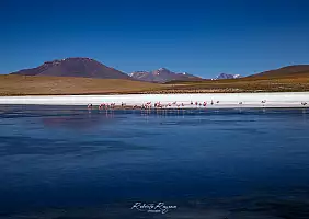 turistipercaso bolivia-x924c