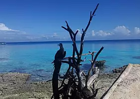 turistipercaso borabora-8528e