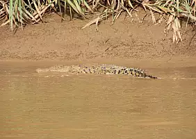 turistipercaso borneo-4je68