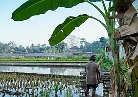 turistipercaso borneo-q58mq