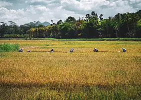 turistipercaso borneo-q9k7k
