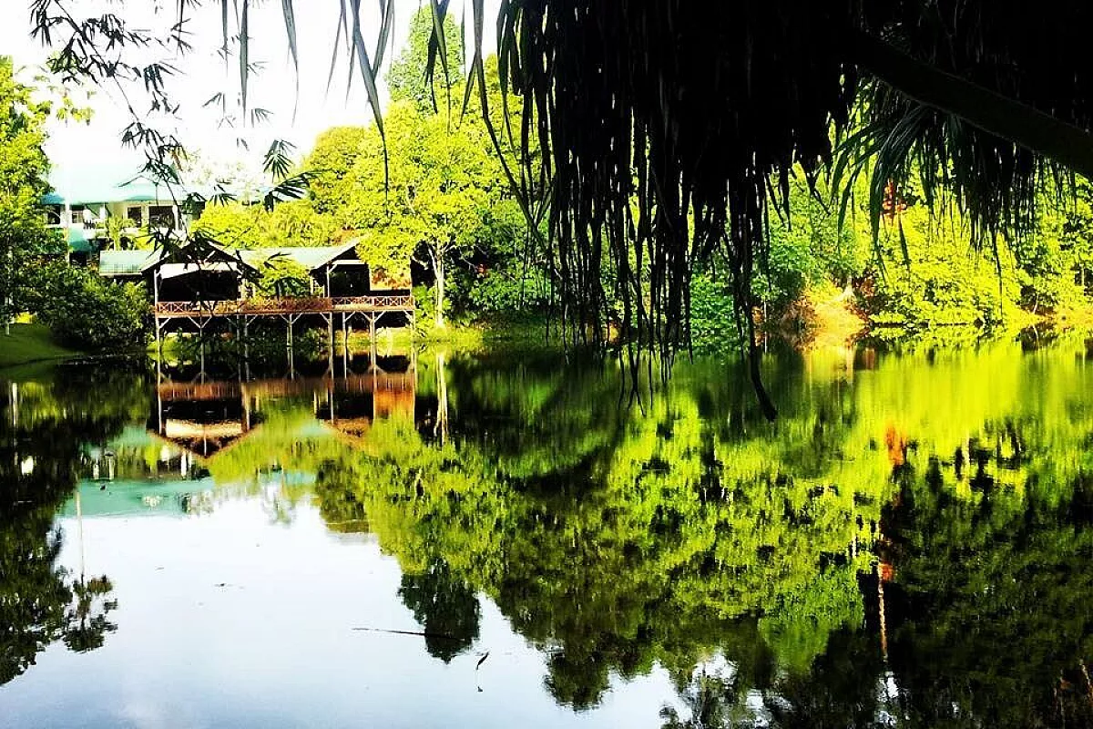 Dalla natura del Borneo ai grattacieli di Hong Kong