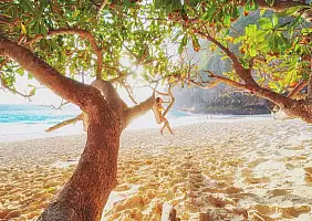 turistipercaso borneo-uyq25