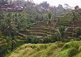 turistipercaso borobudur-fuyjs