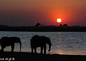 turistipercaso botswana-4ad2w