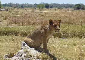 turistipercaso botswana-cgg9f