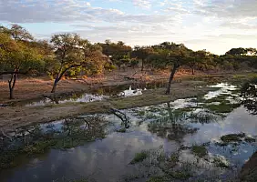 turistipercaso botswana-csf47