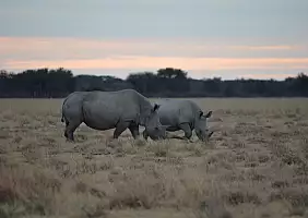 turistipercaso botswana-ctyme