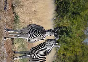 turistipercaso botswana-k7pmc
