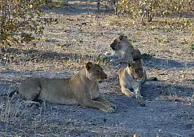 turistipercaso botswana-uqs9p