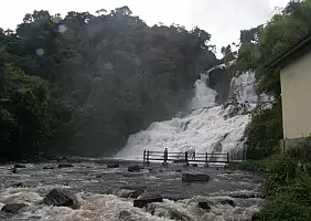 turistipercaso brasile-9fxyq