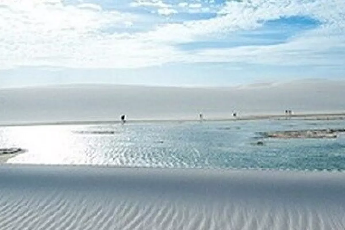 Tour naturalistico nel Nord Est del Brasile