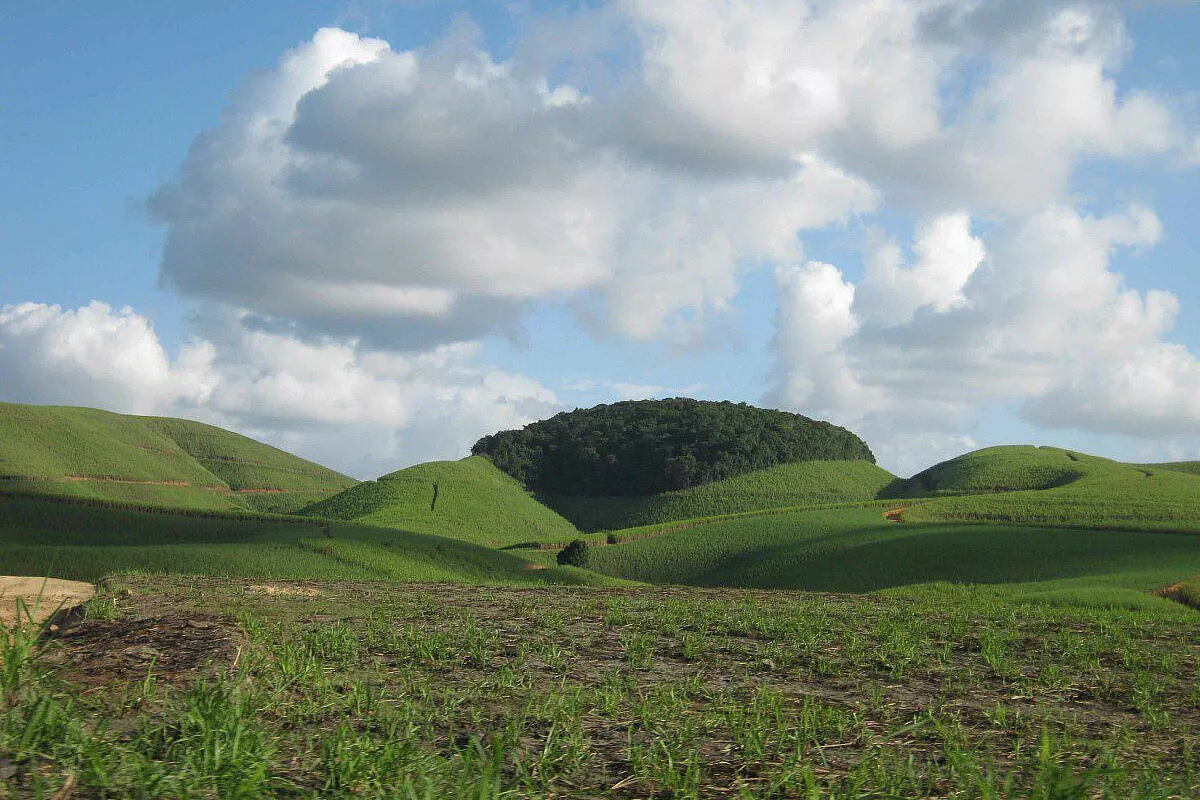 Le colline di canna nell'interno del Pernambuco