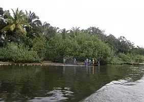turistipercaso brasile-ff8qx