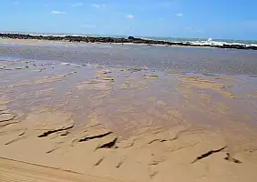 turistipercaso brasile-jpp3b