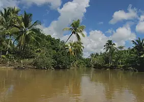 turistipercaso brasile-q7m6f