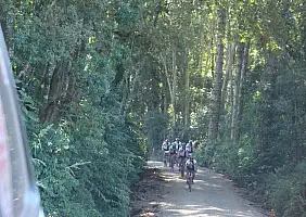 turistipercaso brasile-tk1zx