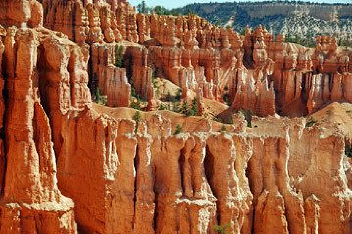 USA: Ovest selvaggio