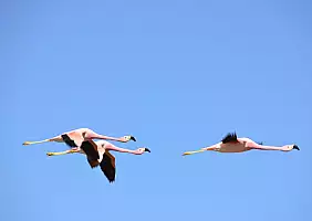 turistipercaso buenos-aires-passeggiata-fm9fm