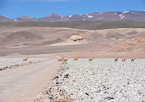 turistipercaso buenos-aires-passeggiata-yamf2