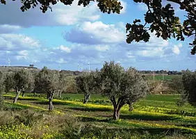 turistipercaso calabria-bwbk8