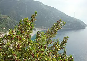 turistipercaso calabria-r6eev