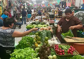 turistipercaso calakmul-e6xen
